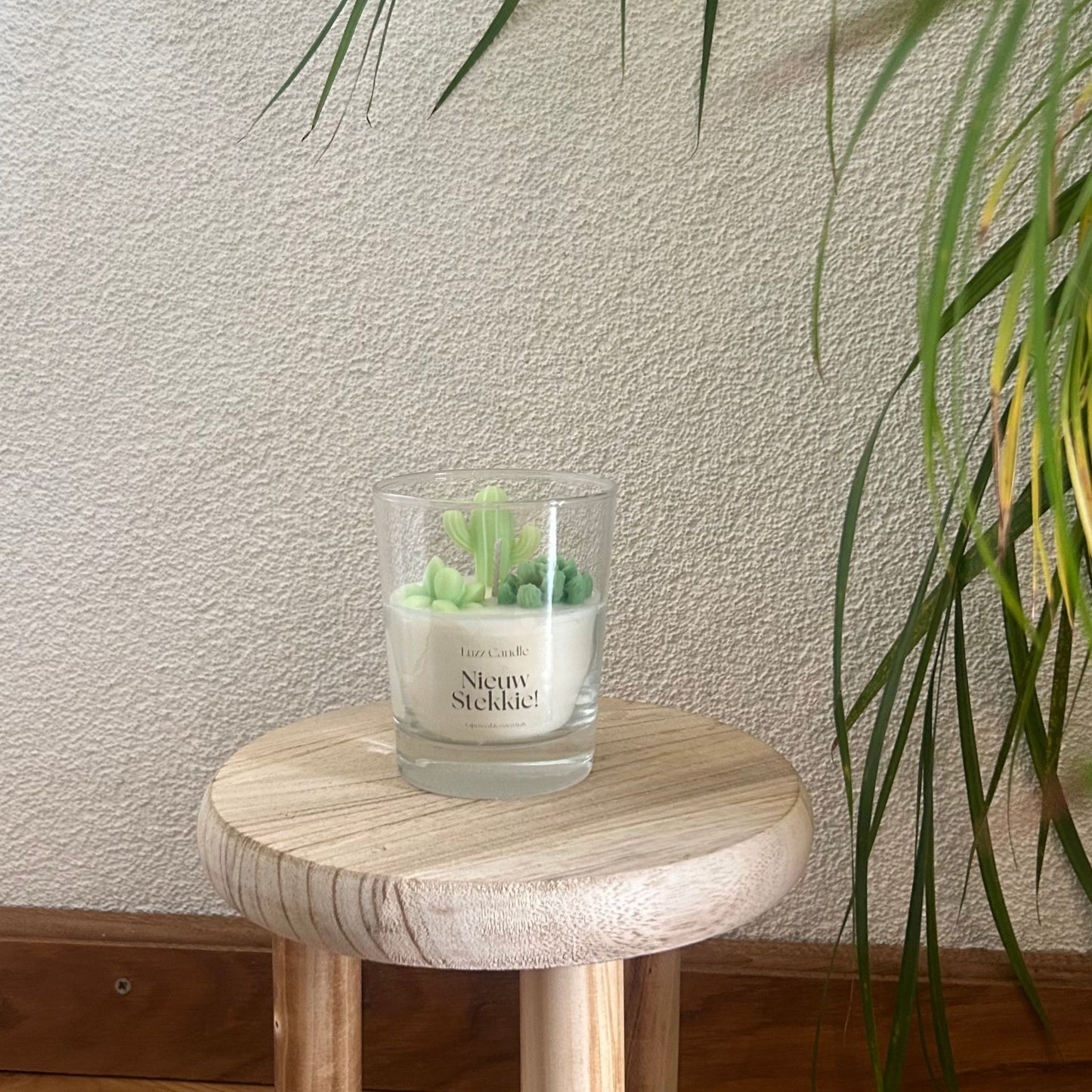 Nieuw Stekkie! | Housewarming Gift
