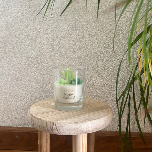 Nieuw Stekkie! | Housewarming Gift